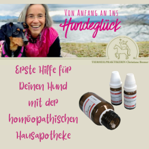 Hundeapotheke Hundeapotheke