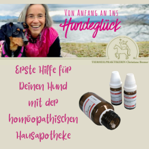 Hundeapotheke