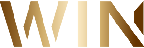 win-2020-logo_1 win system