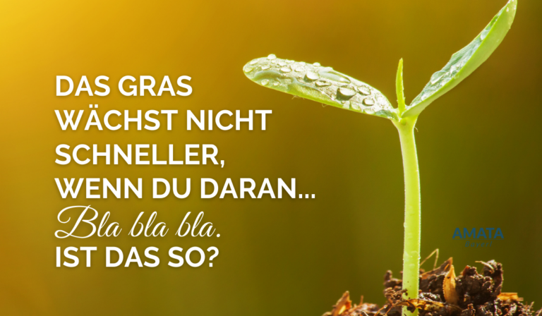 Gras Wächst Nicht Schneller Wenn Man Daran Zieht Bedeutung Das Gras wächst nicht schneller, wenn man daran zieht - Amata Bayerl