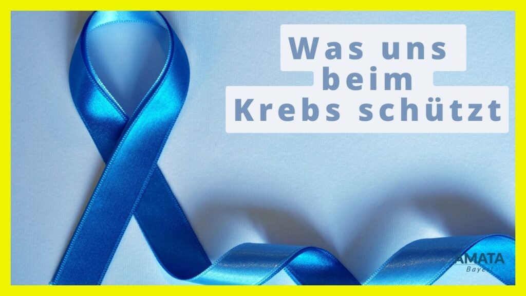 Krebs